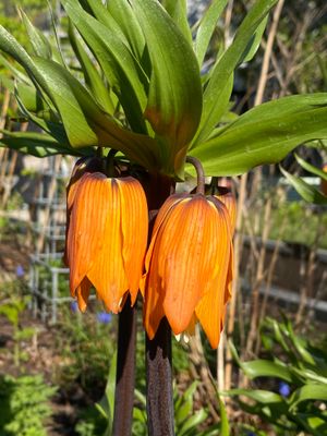 IMG_8206.JPG