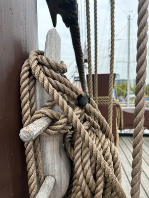 IMG_1543 2.JPG