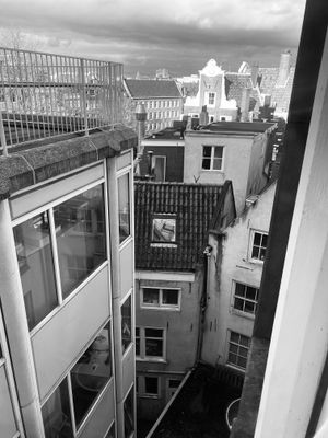 IMG_3735.jpg