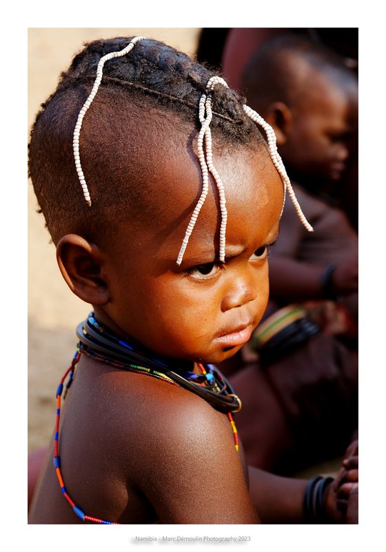 Namibia 2023 - Namib desert 104