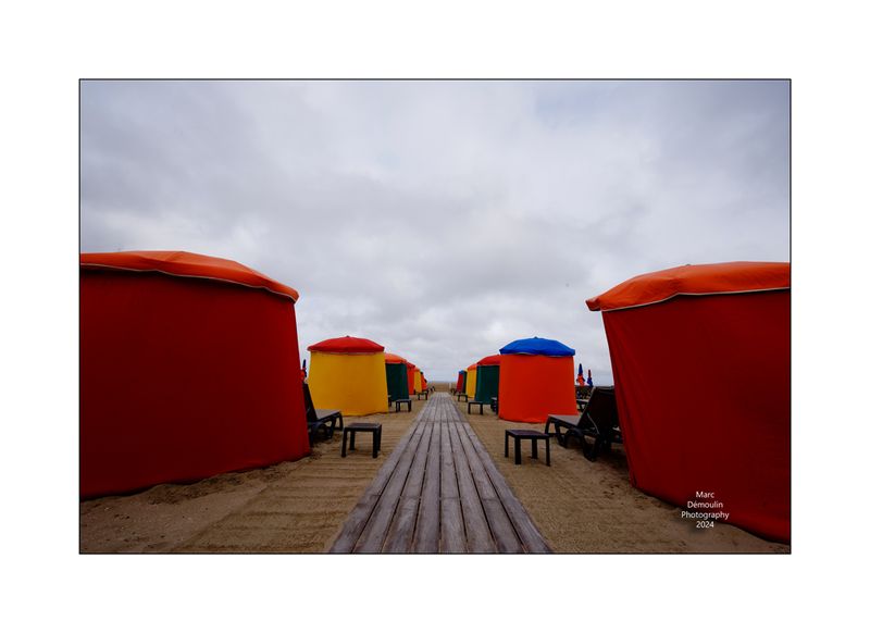 Beach Umbrellas in Deauville 5