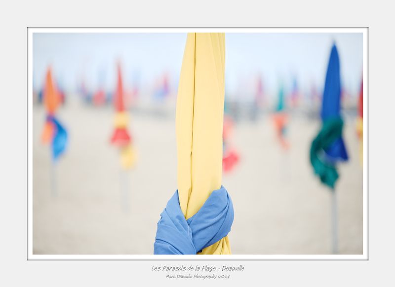 Les Parasols de la Plage - Deauville 16