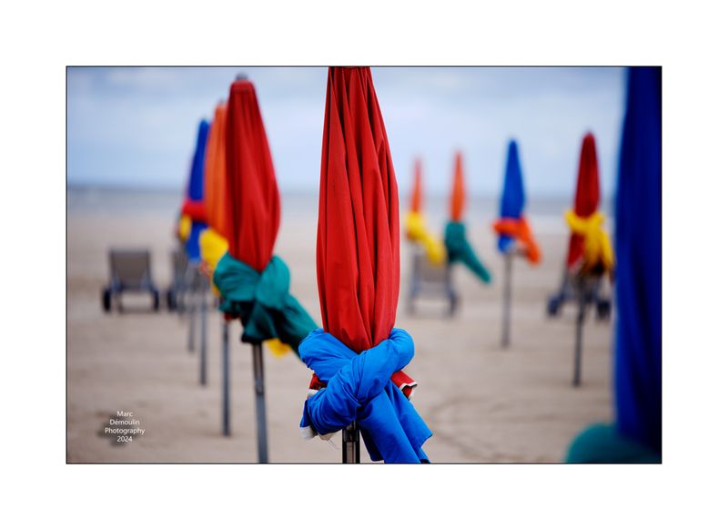 Beach Umbrellas in Deauville 34