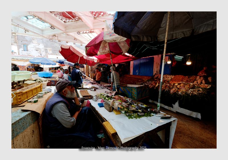 Essaouira - Morocco - 12