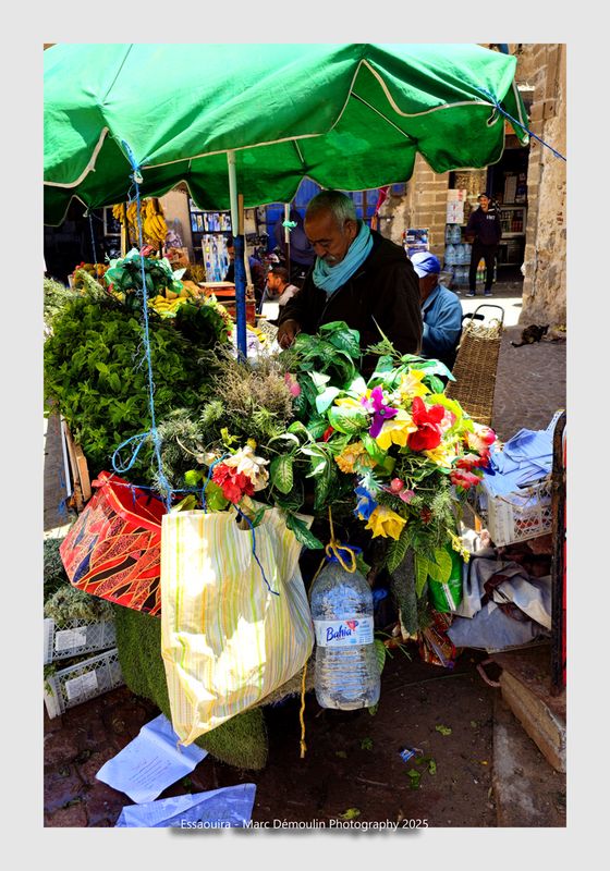 Essaouira - Morocco - 102