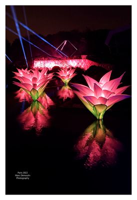 Sentiers lumineux de Noel 13