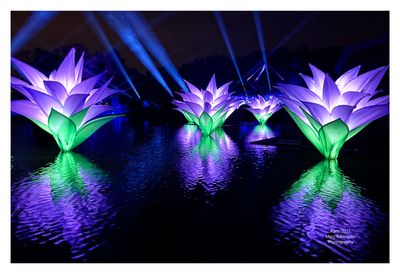 Sentiers lumineux de Noel 16