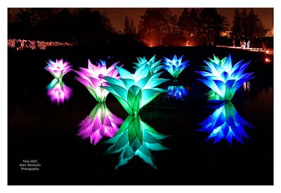 Sentiers lumineux de Noel 23