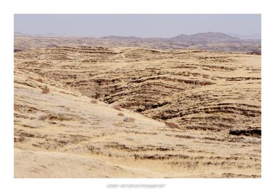 Namibia 2023 - Namib Desert 13