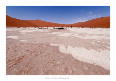 Namibia 2023 - Namib Desert 24