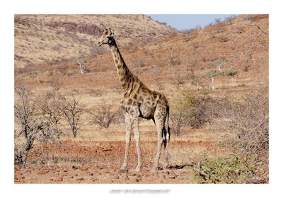 Namibia 2023 - Namib desert 38