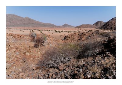 Namibia 2023 - Namib desert 41