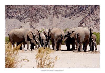 Namibia 2023 - Namib desert 42