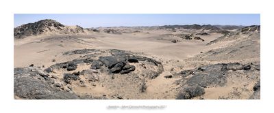 Namibia 2023 - Namib desert 47