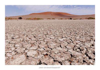 Namibia 2023 - Namib desert 53