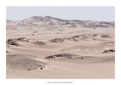 Namibia 2023 - Namib desert 63