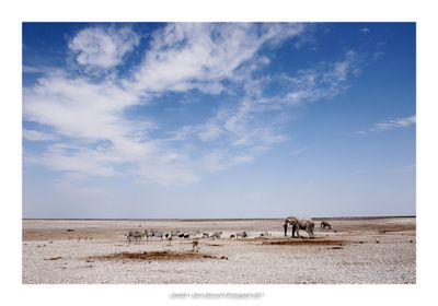 Namibia 2023 - Namib desert 68