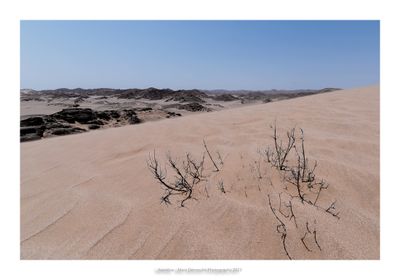 Namibia 2023 - Namib desert 74