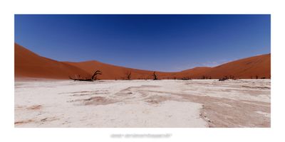 Namibia 2023 - Namib desert 76
