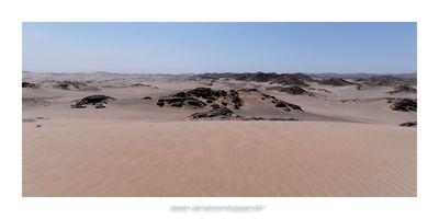 Namibia 2023 - Namib desert 83