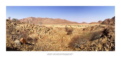 Namibia 2023 - Namib desert 85