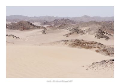 Namibia 2023 - Namib desert 94