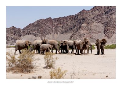 Namibia 2023 - Namib desert 101