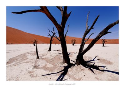 Namibia 2023 - Namib desert 108