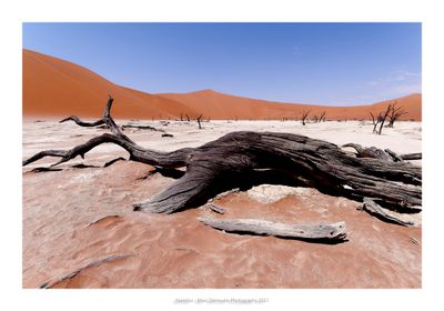 Namibia 2023 - Namib desert 115
