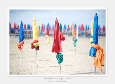 Les Parasols de la Plage - Deauville 3