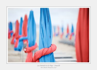 Les Parasols de la Plage - Deauville 5