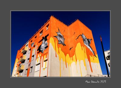 Street Art