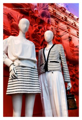 Paris Windows 21