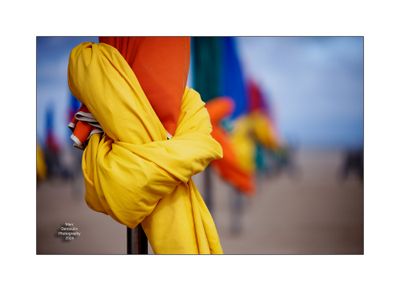 Beach Umbrellas in Deauville 13
