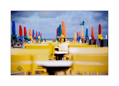 Beach Umbrellas in Deauville 24