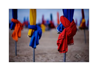 Beach Umbrellas in Deauville 29