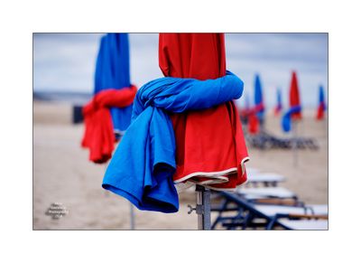 Beach Umbrellas in Deauville 30