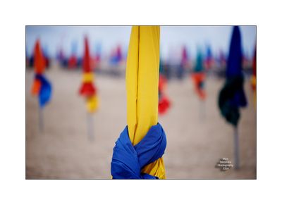 Beach Umbrellas in Deauville 32