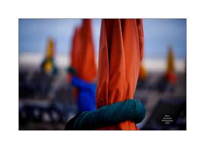 Beach Umbrellas in Deauville 35