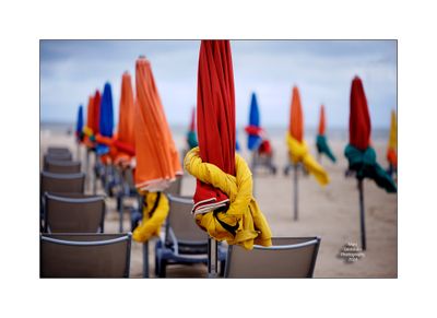 Beach Umbrellas in Deauville 37
