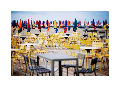 Beach Umbrellas in Deauville 40