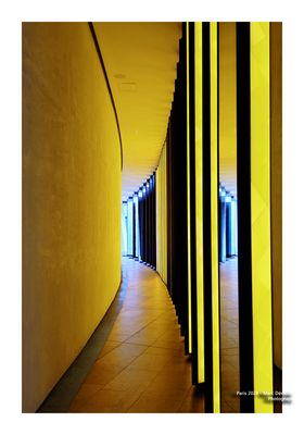 Fondation Louis Vuitton 6