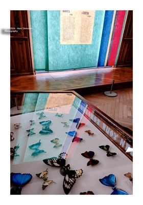 Expo in Petit Palais 1