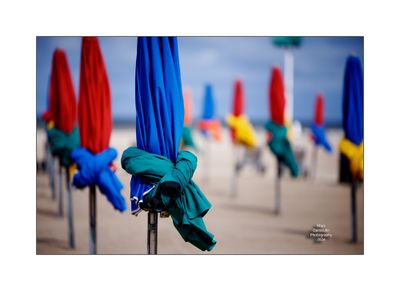 Beach Umbrellas in Deauville 52