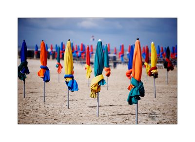 Beach Umbrellas in Deauville 54