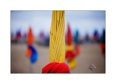 Beach Umbrellas in Deauville 55