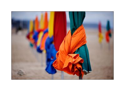 Beach Umbrellas in Deauville