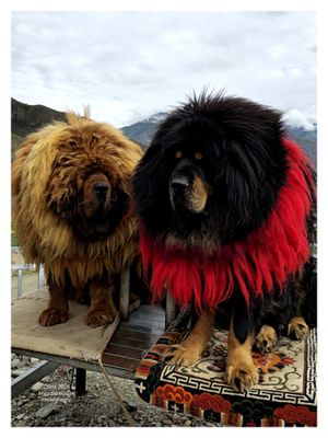 China 2024 - 99
