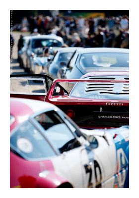 Art et Elgance - Chantilly 2024 - 91