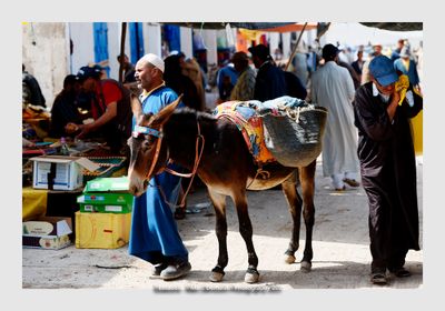 Essaouira - Morocco - 3